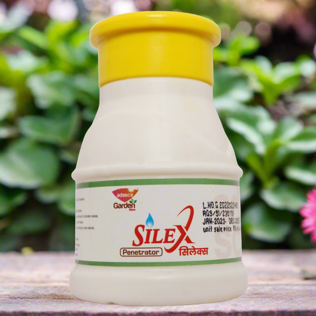 Silex Natural surfactant, activator, penetrator, spreader. Increases the uptake actives in to plant tissue of kitchen garden